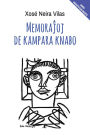 Memorajoj de kampara knabo