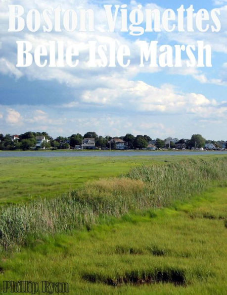 Boston Vignettes: Belle Isle Marsh