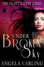 Under The Broken Sky: The Final Book of the Secret Keeper Series