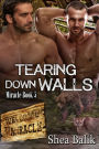 Tearing Down Walls, Miracle Book 5