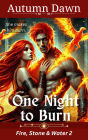 One Night to Burn