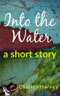 Into The Water, A Short Story
