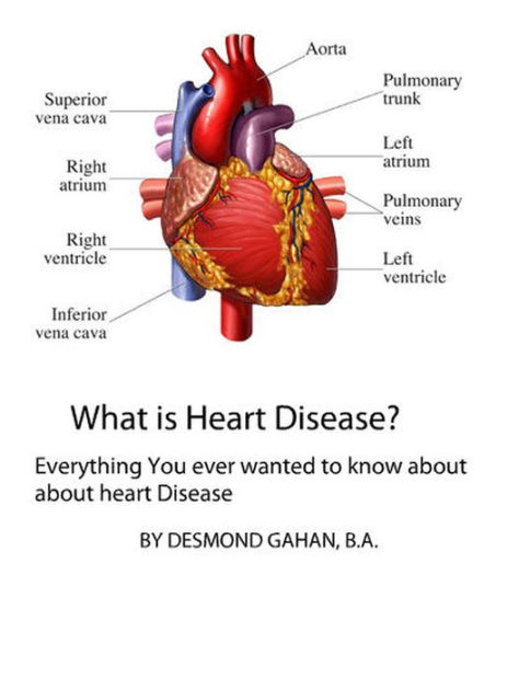 what-is-heart-disease-everything-you-need-to-know-about-heart-disease