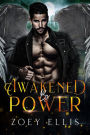 Awakened By Power (Empire of Angels, #3)