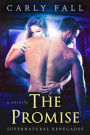 The Promise (Supernatural Renegades Novella)