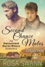 Second Chance Mates Volume 2