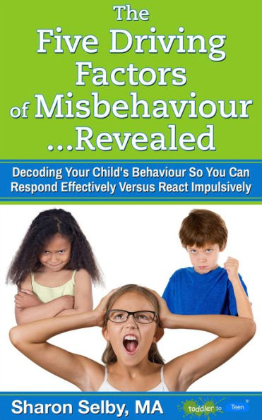 The Five Driving Factors of Misbehaviour Revealed