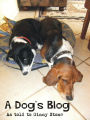 A Dog's Blog