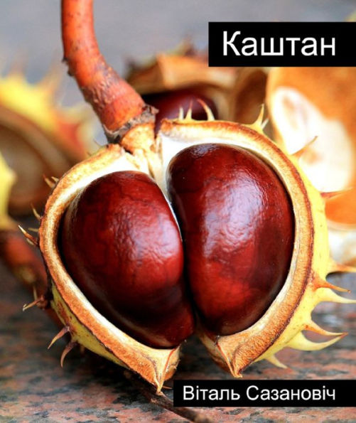 Kastan (zbornik apovedau)