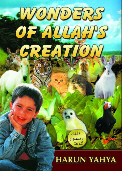 Wonders of Allah's Creation
