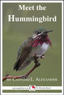 Meet the Hummingbird