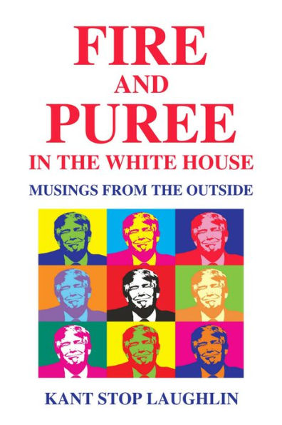 Fire and Puree in the White House: Musings from the Outside