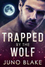 Trapped by the Wolf (Werewolf Fever, #1)