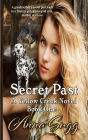 Secret Past (Yellow Creek Novels, #1)