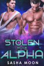 Stolen By The Alpha: MM Alpha Omega Fated Mates Mpreg Shifter