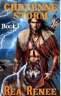 Cheyenne Storm (Cheyenne Series, #1)