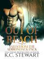 Out of Reach: Tales from the Adirondack Pack