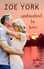 Ambushed by Love (SEALs at Camp Firefly Falls, #3)