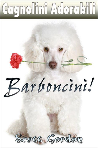 Adorabili cagnolini set 3 in 1 con bassotto carlino barboncino +