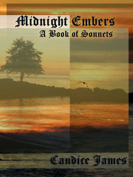 Midnight Embers: A Book of Sonnets