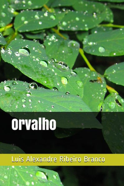 Orvalho