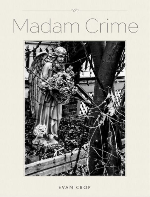 madam-crime-by-evan-crop-ebook-barnes-noble