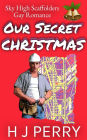 Our Secret Christmas (Sky High Scaffolders, #2)