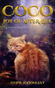 Title: Coco: Joy of After-Life (A Journey Beyond Death and into the Heavens), Author: John Hennessy