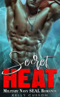 Secret Heat - Military Navy SEAL Romance