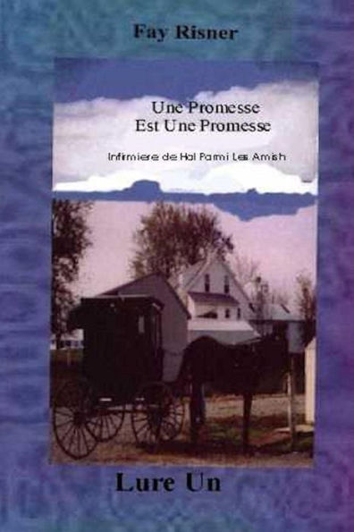 Une Promesse est Une Promesse (Infirmiere Hal Parmi Les Series Amish, #1)