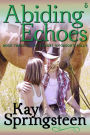 Abiding Echoes (The Echoes of Orson's Folly, #3)