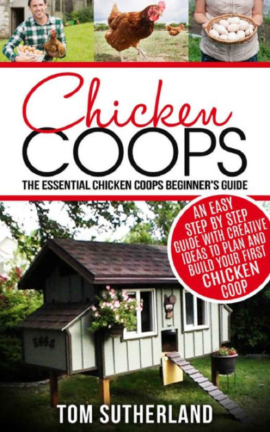 Beginner's guide to building your first chicken coop