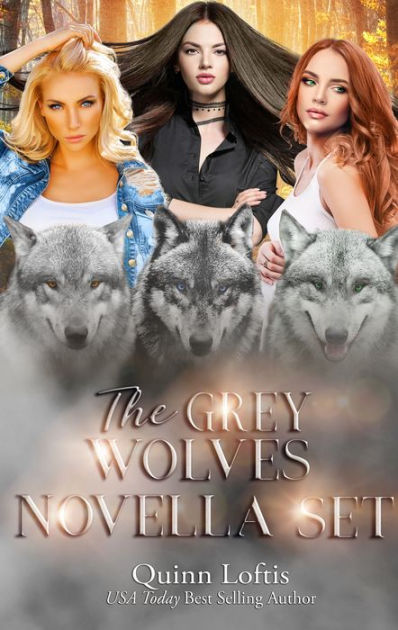 The Grey Wolves Novella Collection: Books 1-4: Sacred Silence, Resounding  Silence, Piercing Silence, and Forgotten Silence (The Grey Wolves