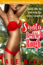 Santa Bred Me Rough (Bareback unprotected creampie, Impregnation breeding, Rough and raw sex, Sex with Santa erotica)