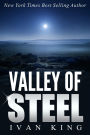 Thrillers: Valley of Steel (Thrillers, Thriller Fiction, Thriller Books, Thriller Nook Books, Thriller Novels, Thriller Books for Women) [Thrillers]