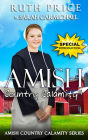 An Amish Country Calamity 4