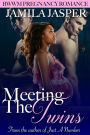 Meeting The Twins (BWWM Pregnancy Romance)