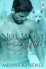 Title: Not What He Thought (1Night Stand), Author: Melissa Kendall
