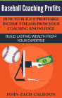 Baseball Coaching Profits - How Coaches Can Build 9 Profitable Income Streams From Your Coaching Knowledge