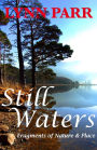 Still Waters: Fragments of Nature & Place