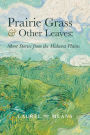 Prairie Grass and Other Leaves: Short Stories from the Midwest Plains