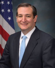 Title: Cruz To The Future: Why Ted Cruise Will Bring Success and Godliness Back to America, Author: Brian Aldritch