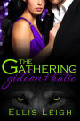 The Gathering Tales: Gideon and Kalie