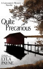 Quite Precarious (A Lowcountry Novella)