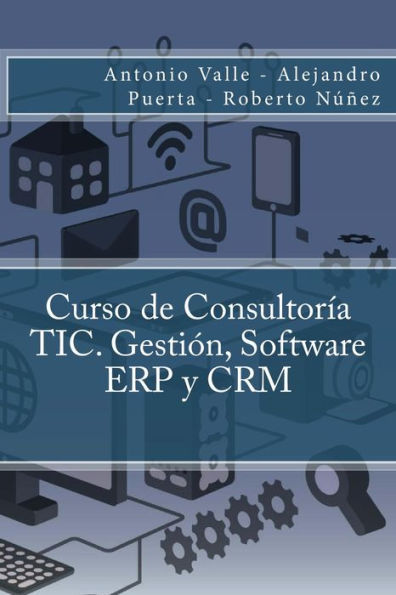 Curso de Consultoria TIC. Gestion, Software ERP y CRM