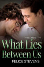 What Lies Between Us (Breakfast Club Series #4)