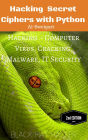 Hacking Secret Cipherswith Python Hacking - Computer Virus, Cracking, Malware, IT Security