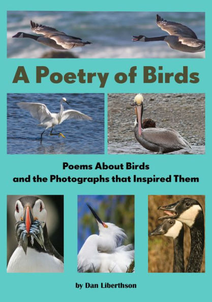 A Poetry of Birds