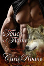 A Touch of Flame, A Paranormal Romance