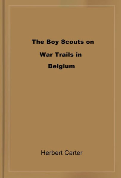 The Boy Scouts on War Trails in Belgium